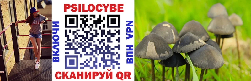 Галлюциногенные грибы MAGIC MUSHROOMS  ссылка на мегу   Соль-Илецк  купить  